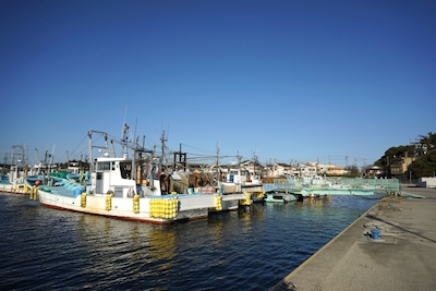 釣りに適した漁港の画像