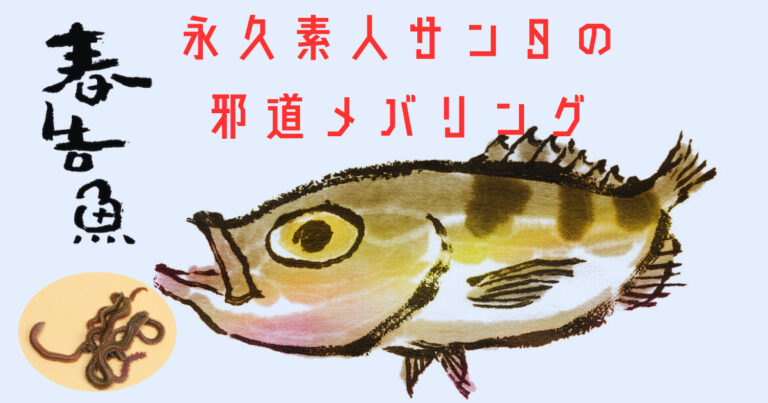 釣りの永久素人サンタの邪道メバリング